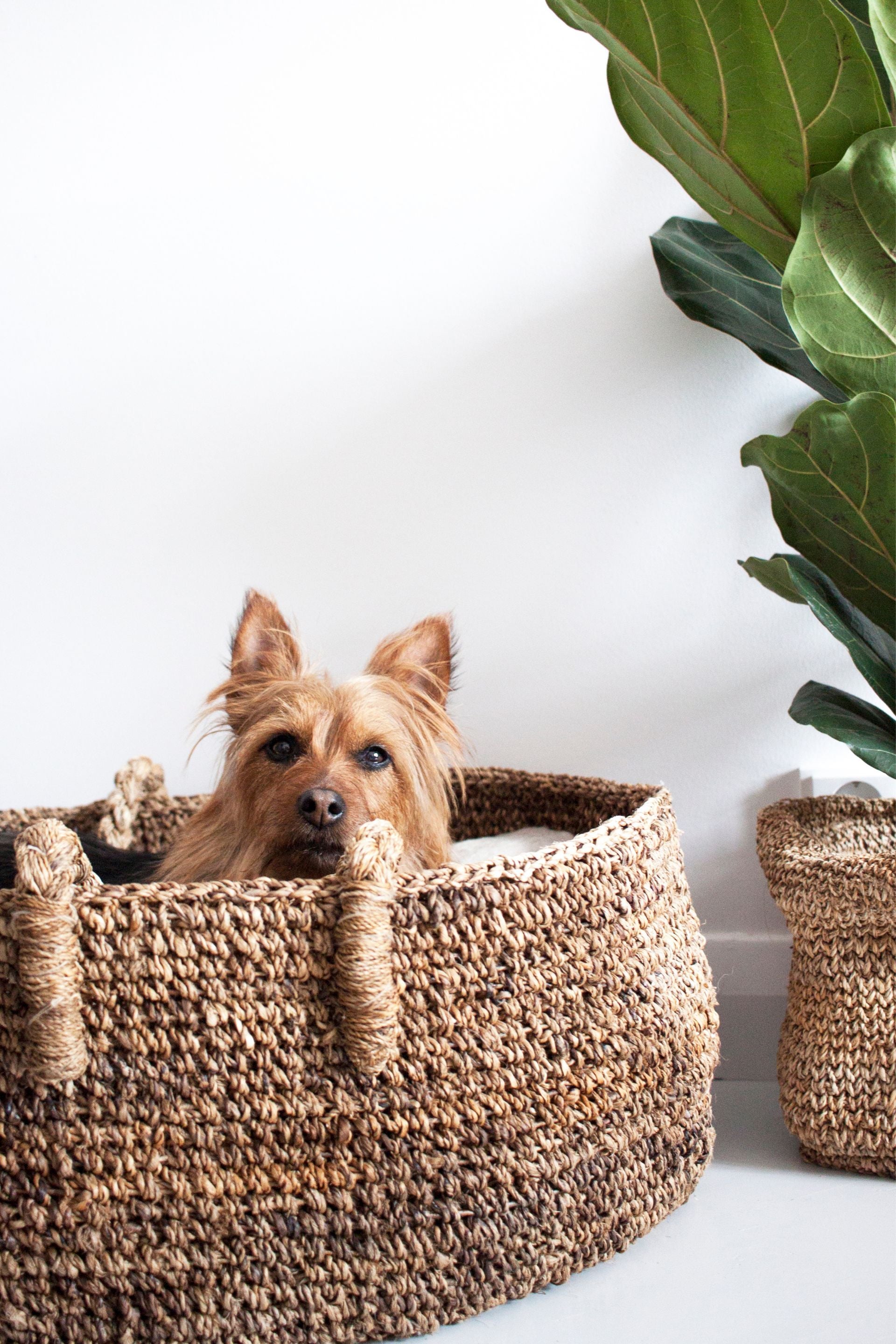 北欧 フィンランド TIKAU バナナファイバー バスケット Banana Fibre Baskets – TIKAU